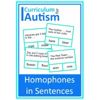 Homophones Sentences Clip Cards